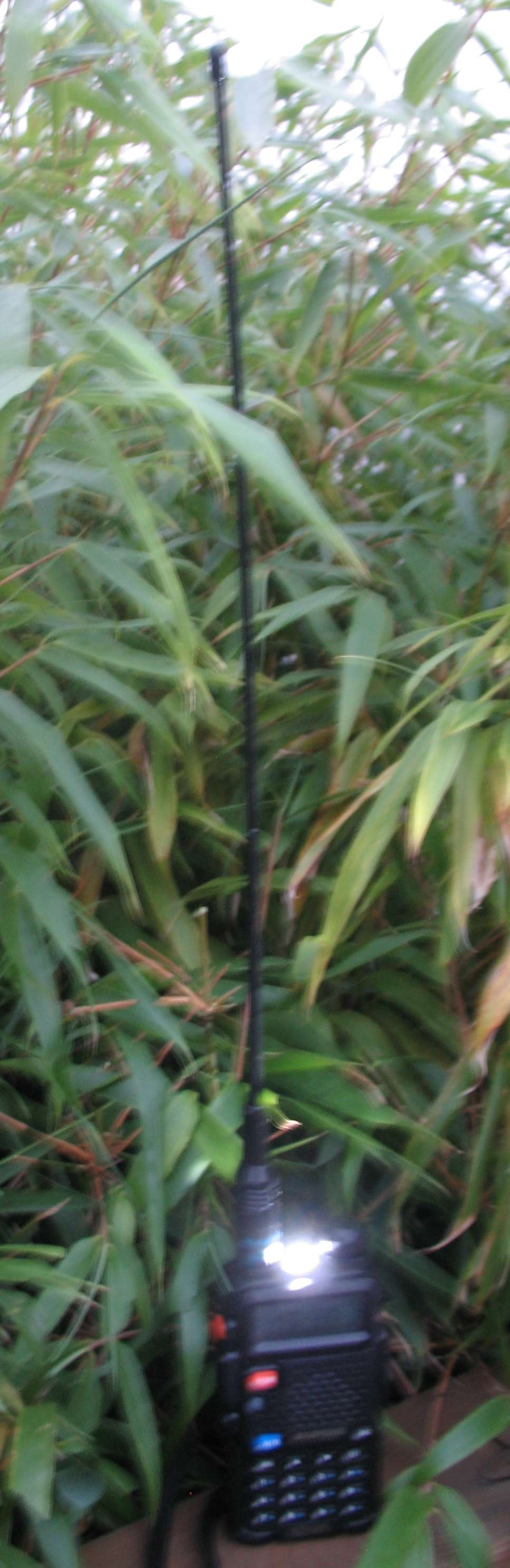 UV 5R f6ugw2